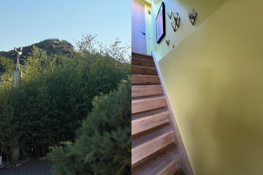 Photo of Others in Camber