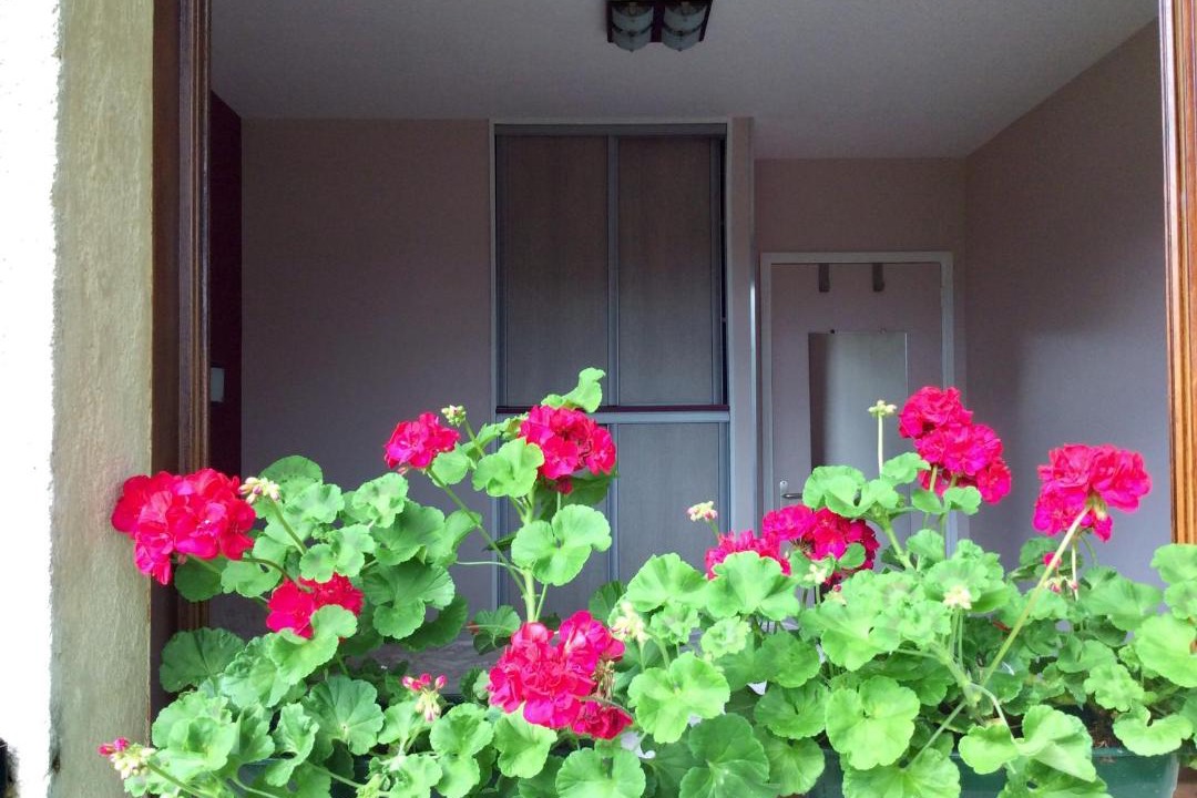 Photo of Patio Balcony in Thuit-Hebert