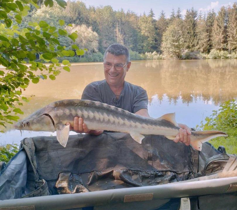 Photo of Others in Harcy