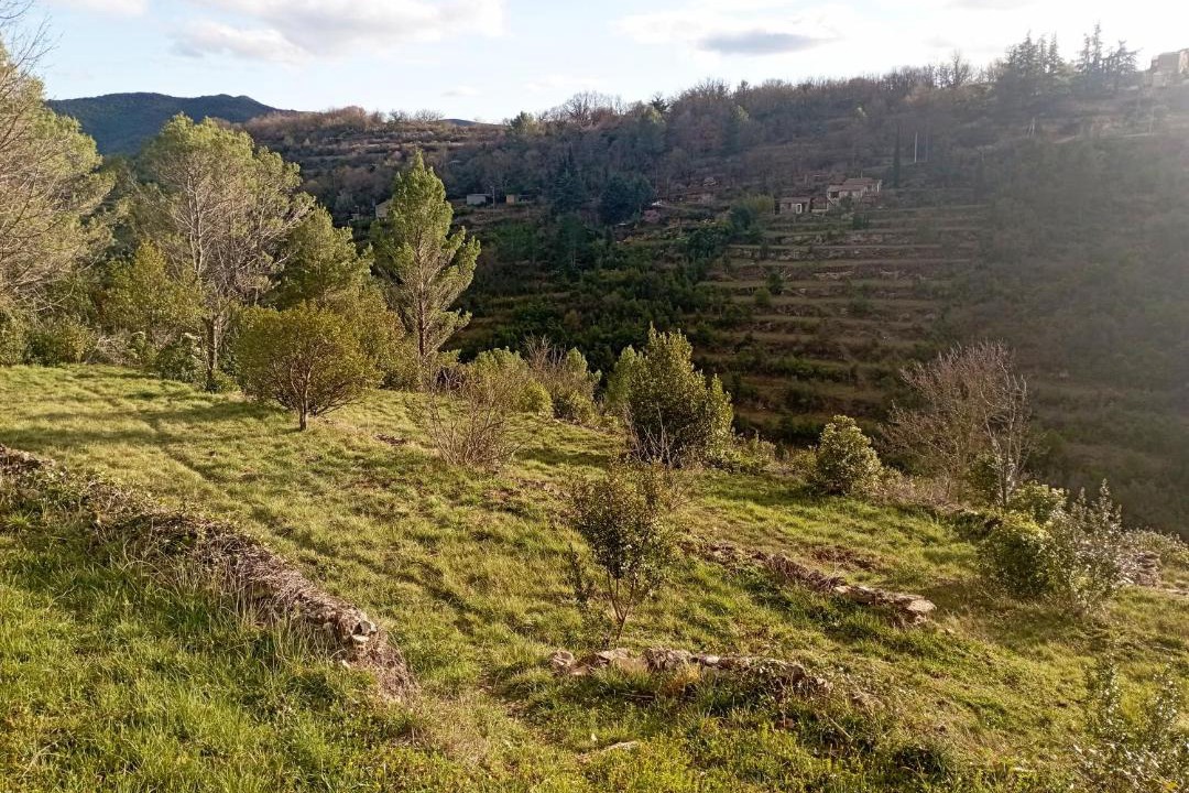 Photo of Others in Bedarieux