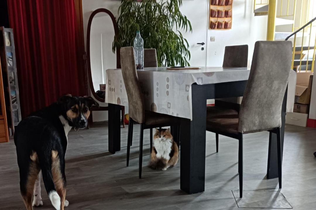 Photo of Others in Chateau-du-Loir