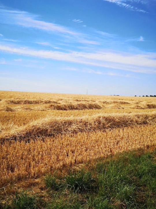 Photo of Others in Laquenexy