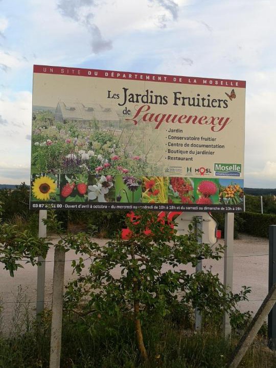 Photo of Others in Laquenexy