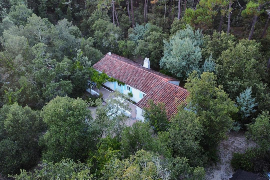 Photo of Others in La Barre-de-Monts