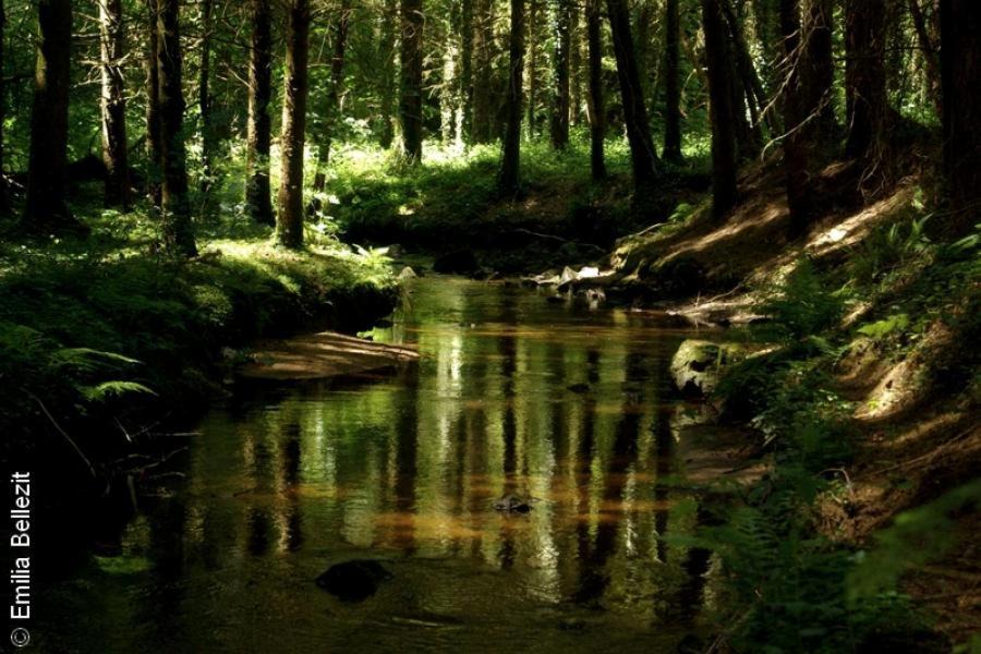 Photo of Others in Saint-Nicolas-du-Pelem