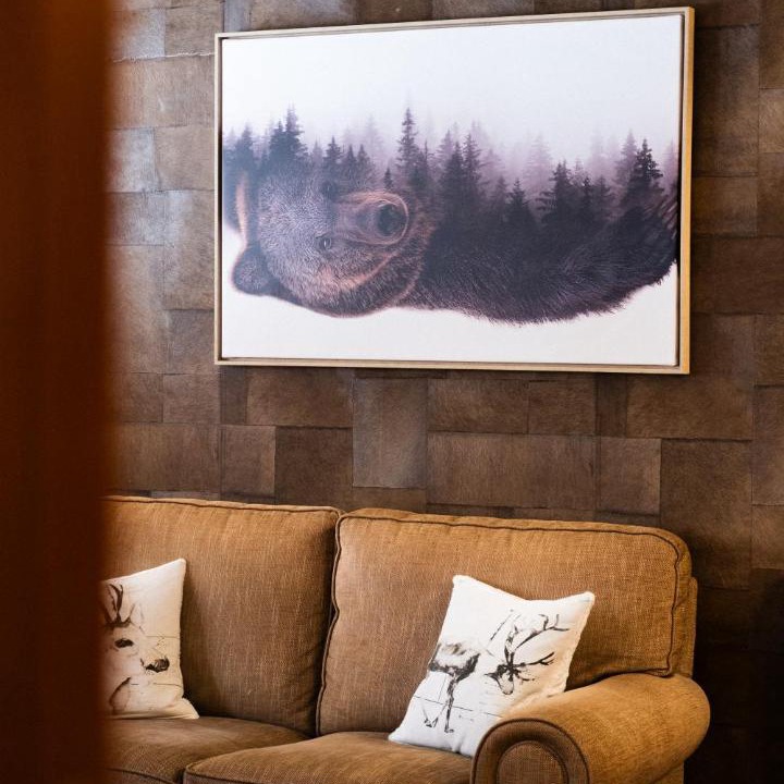 Photo of Livingroom in Vielha