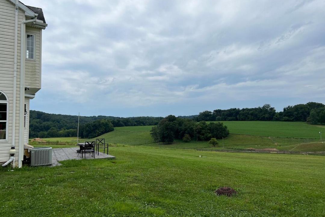 Photo of Others in Cardiff