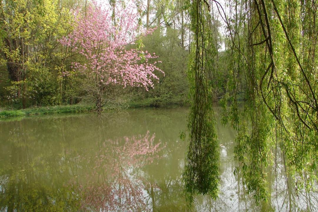 Photo of Others in Vimoutiers