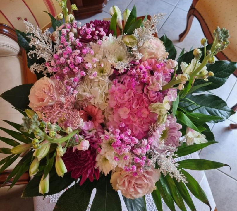 Photo of Others in Plesse