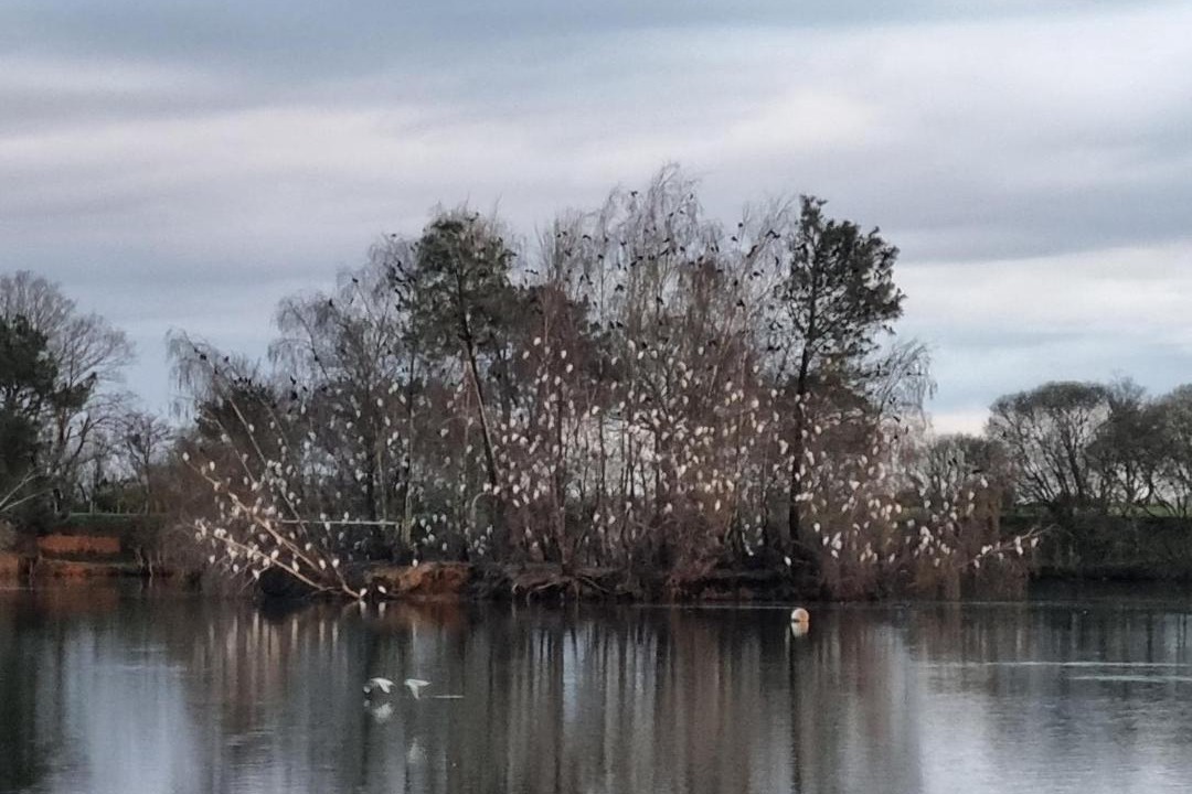 Photo of Others in Plesse