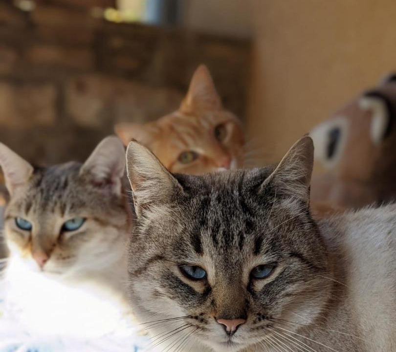 Photo of Others in Versols-et-Lapeyre