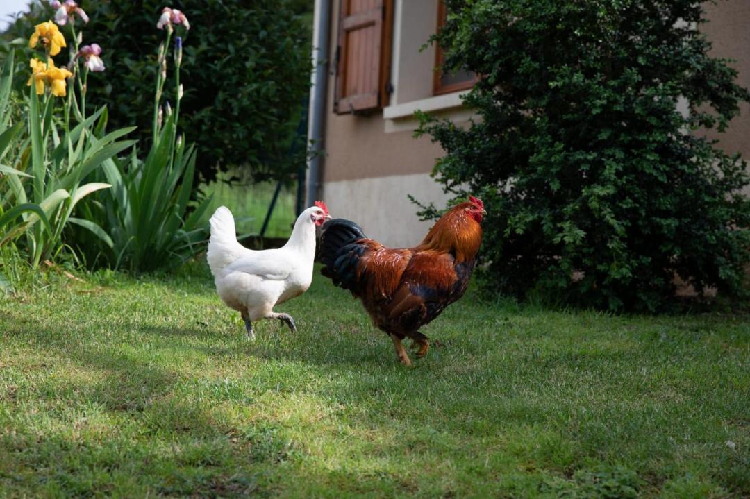 Photo of Others in Versols-et-Lapeyre