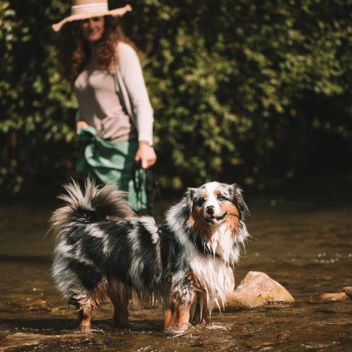 Photo of Human In Picture in Versols-et-Lapeyre