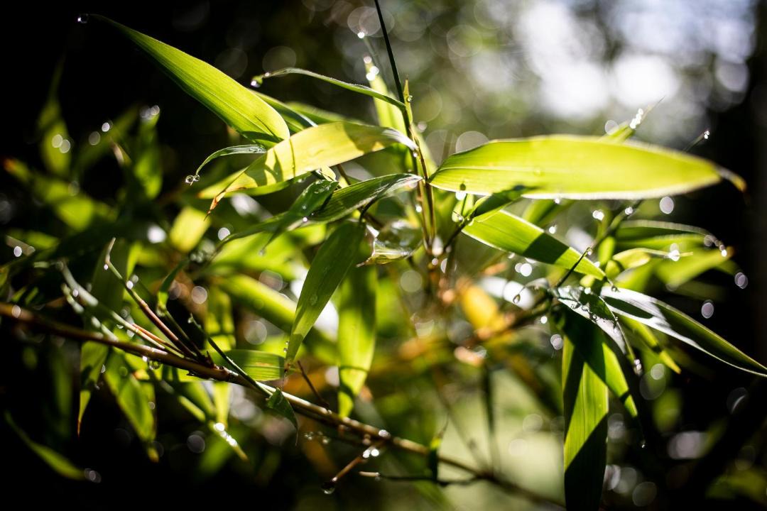 Photo of Outdoor in Versols-et-Lapeyre