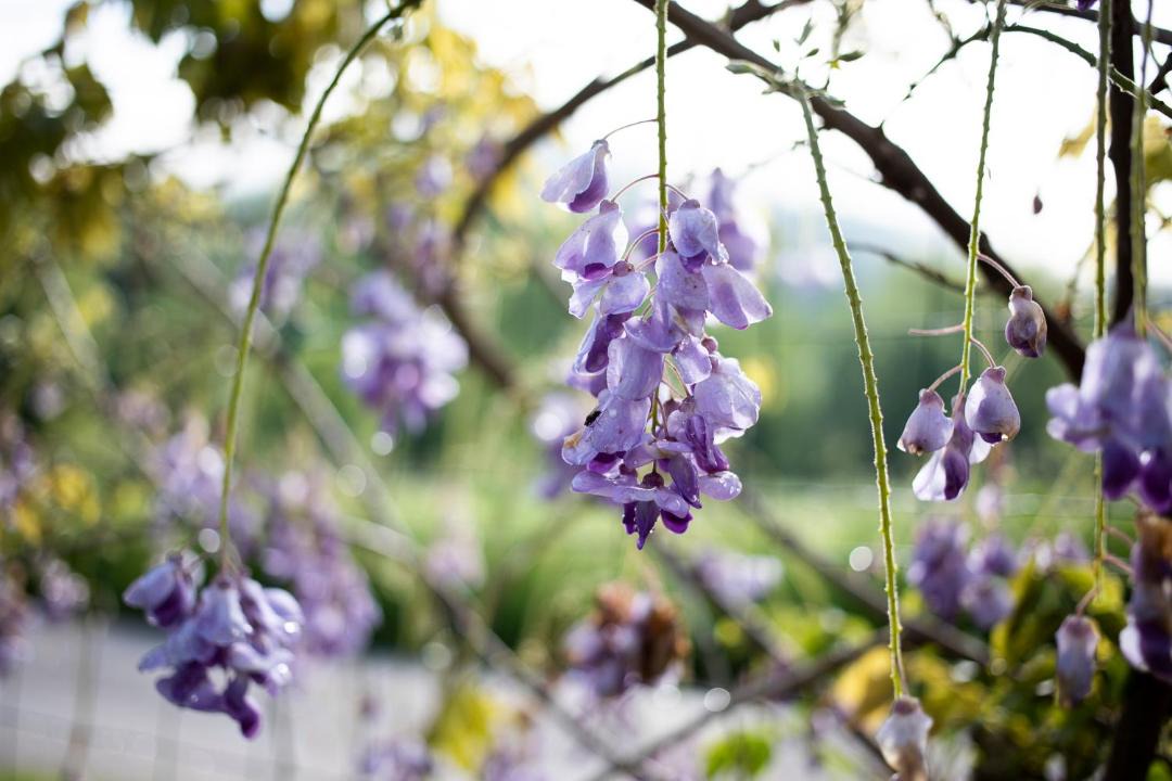 Photo of Others in Versols-et-Lapeyre