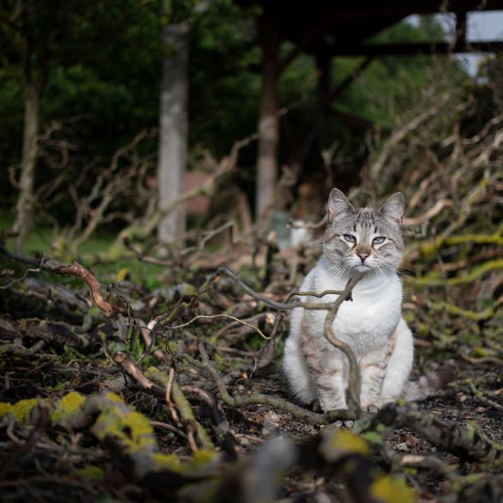 Photo of Others in Versols-et-Lapeyre
