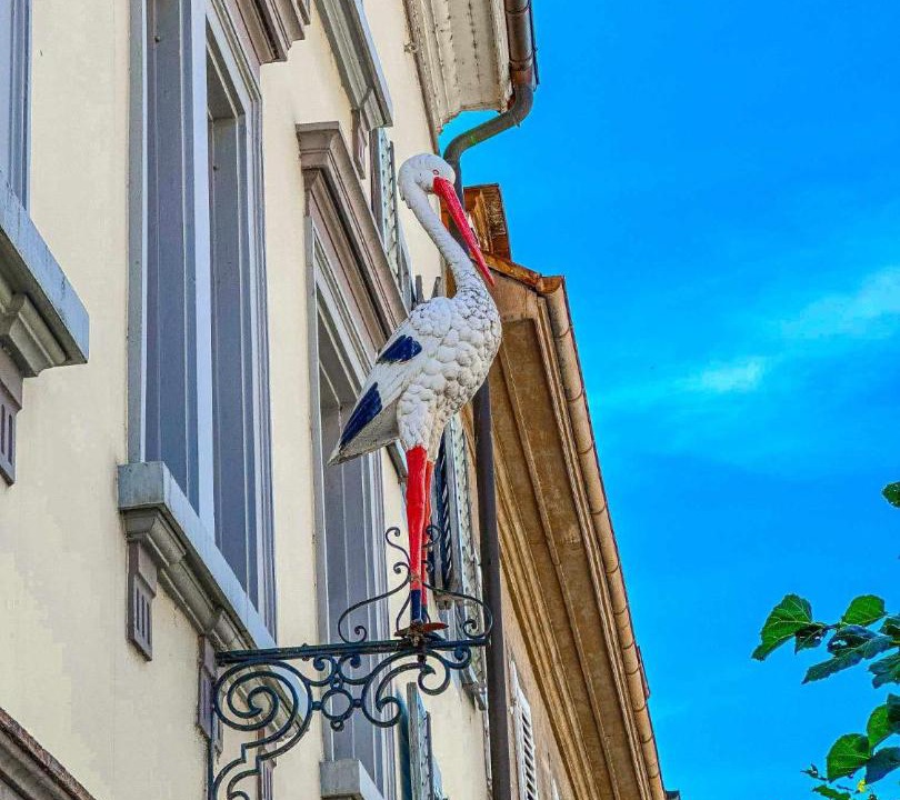 Photo of Others in Porrentruy