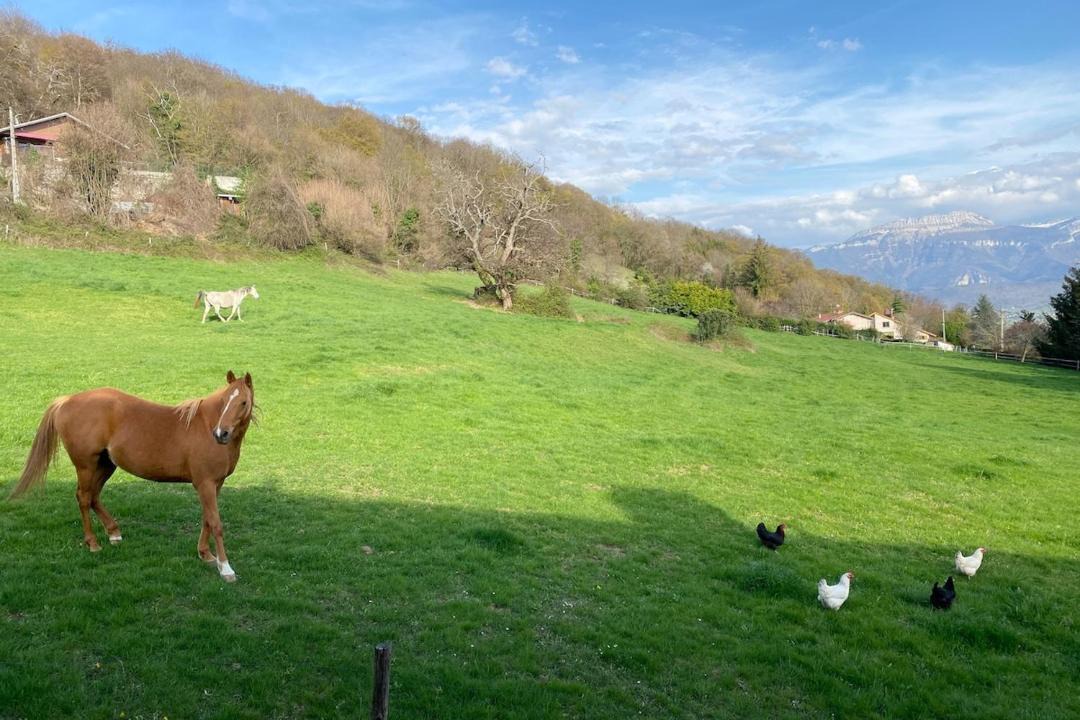 Photo of Others in La Murette