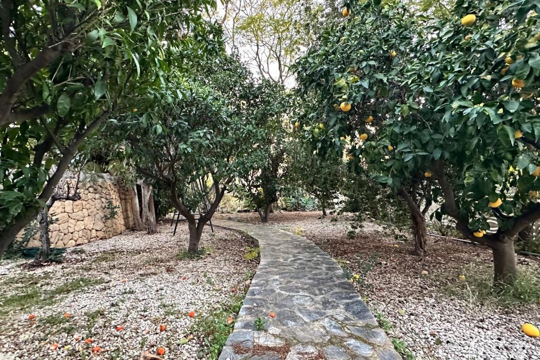 Photo of Outdoor in La Colina