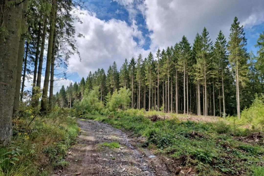 Photo of Others in Signy-lAbbaye