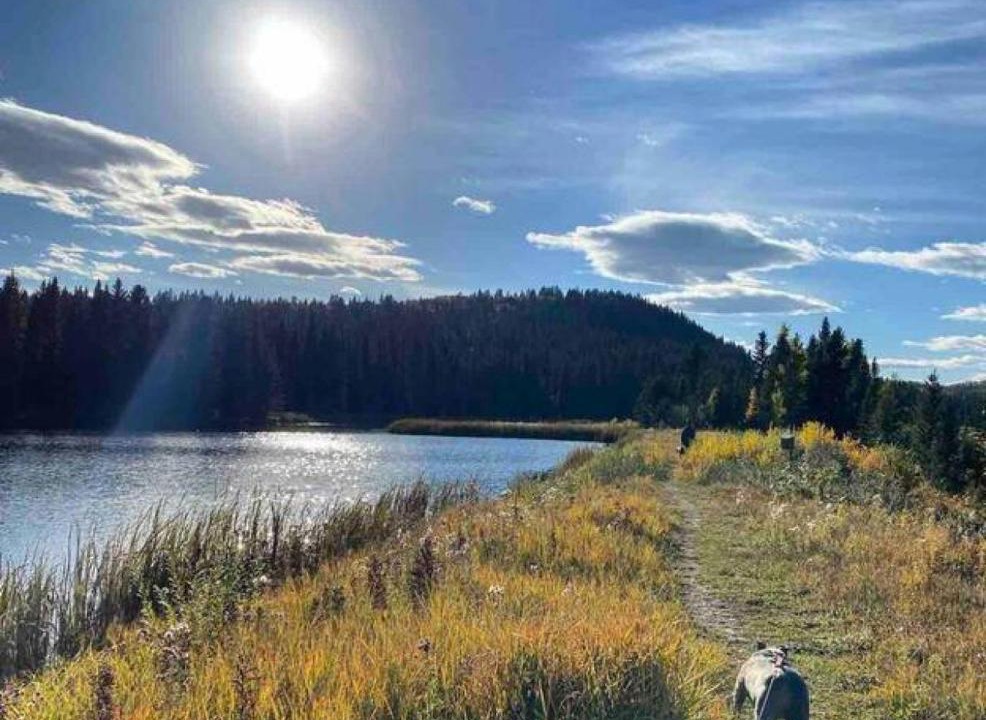 Photo of Others in Bragg Creek