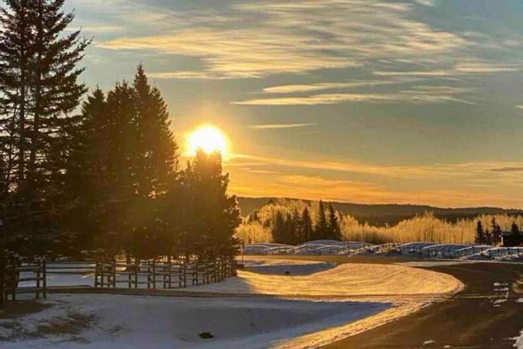 Photo of Others in Bragg Creek