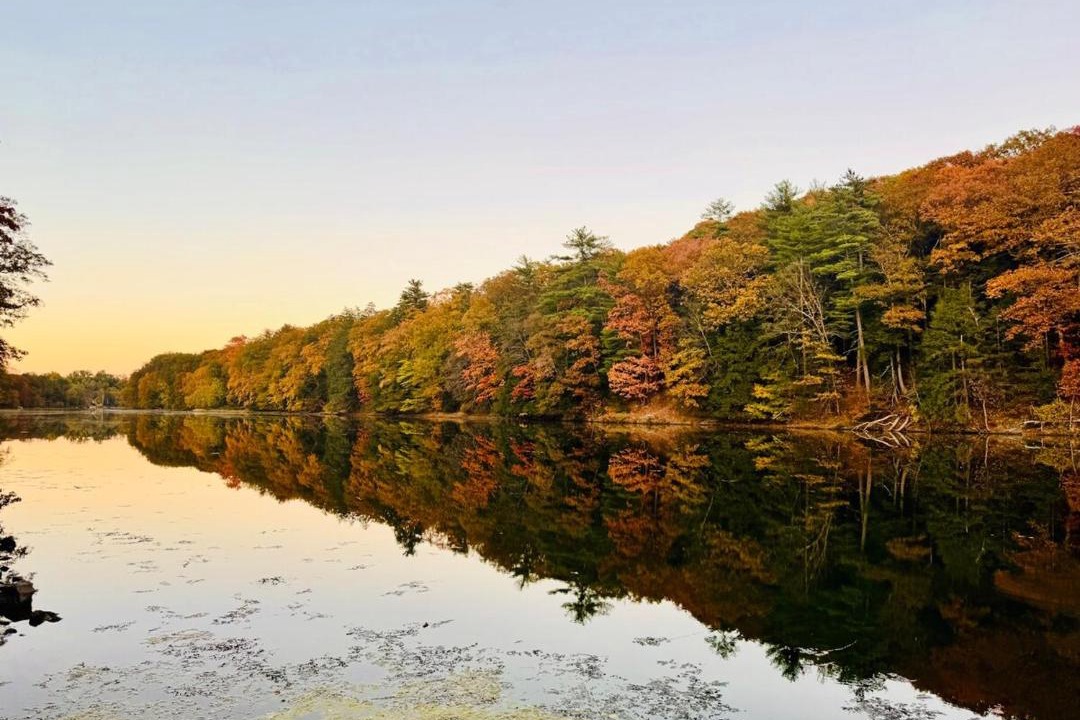 Photo of Others in Saugerties South