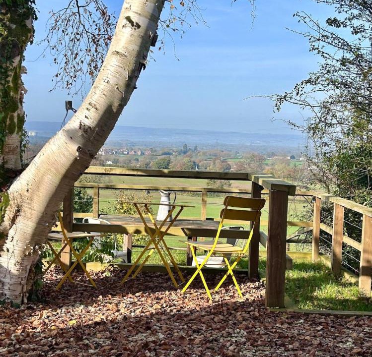 Photo of Others in Olveston