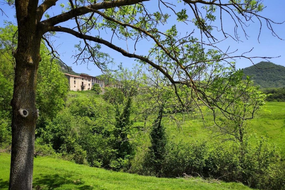 Photo of Others in Vidra