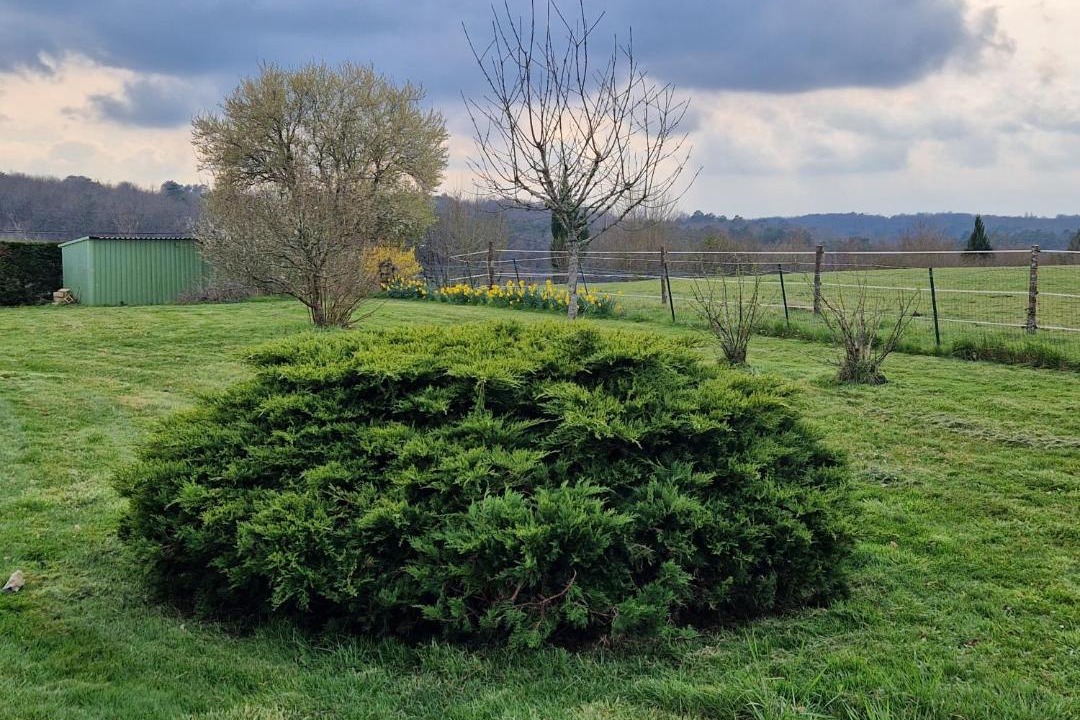 Photo of Others in Saint-Martial-de-Valette