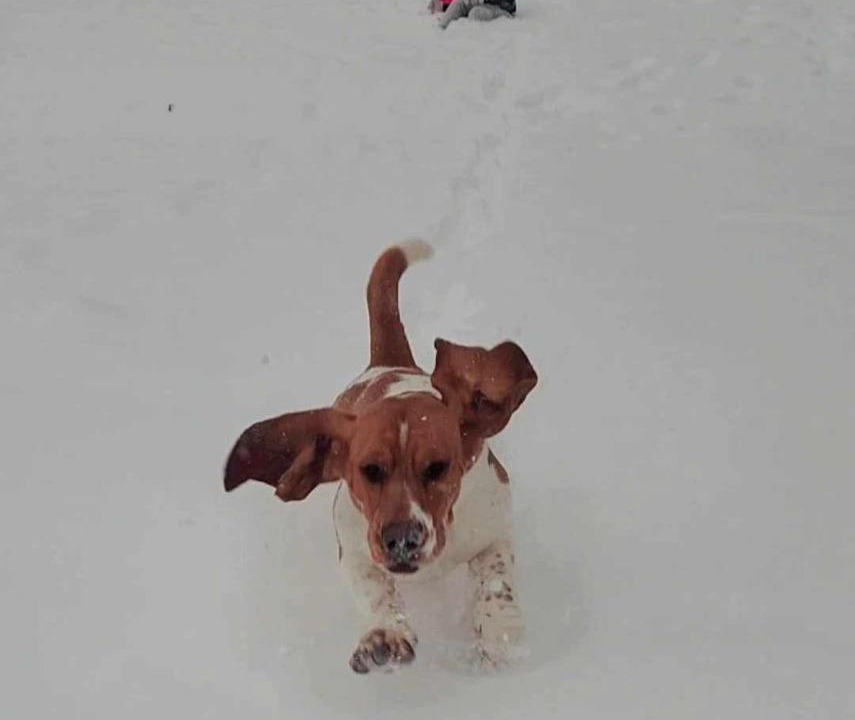 Photo of Others in Orland