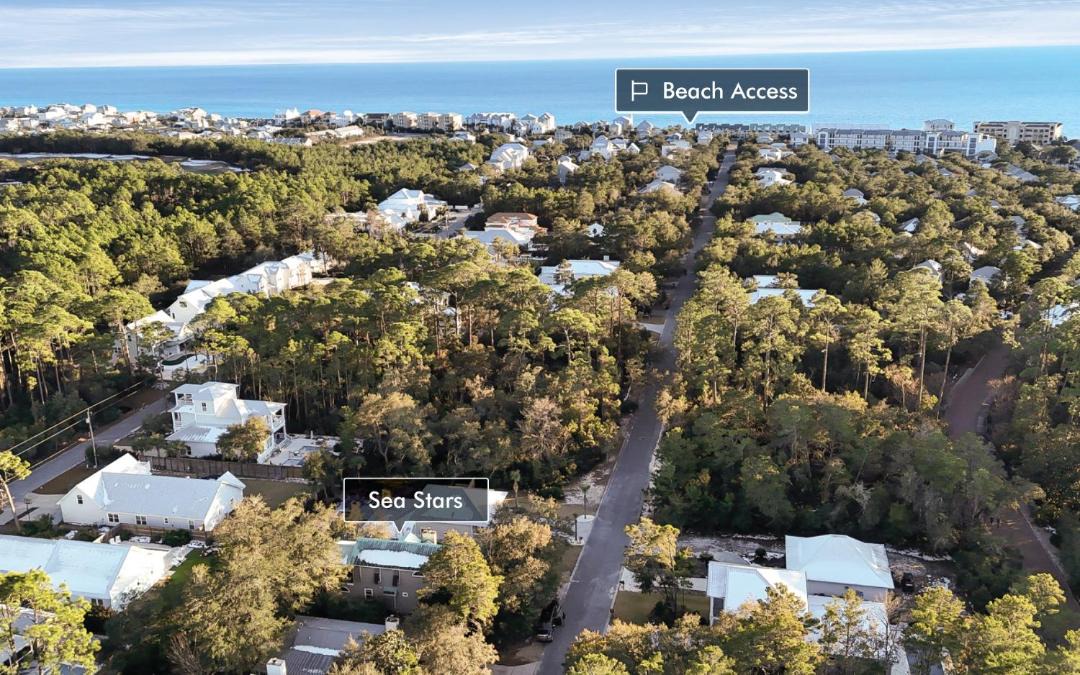 Photo of Others in White's Gulfview
