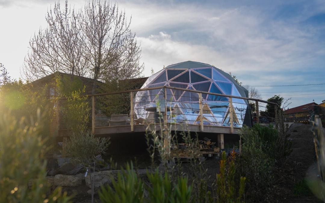 Photo of Others in Saint-Martin-la-Plaine