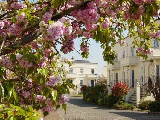 Photo of Others in Putney