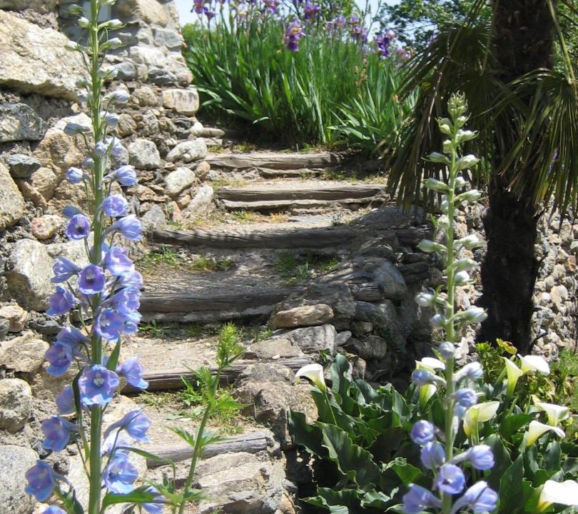 Photo of Others in Prats-de-Mollo-la-Preste