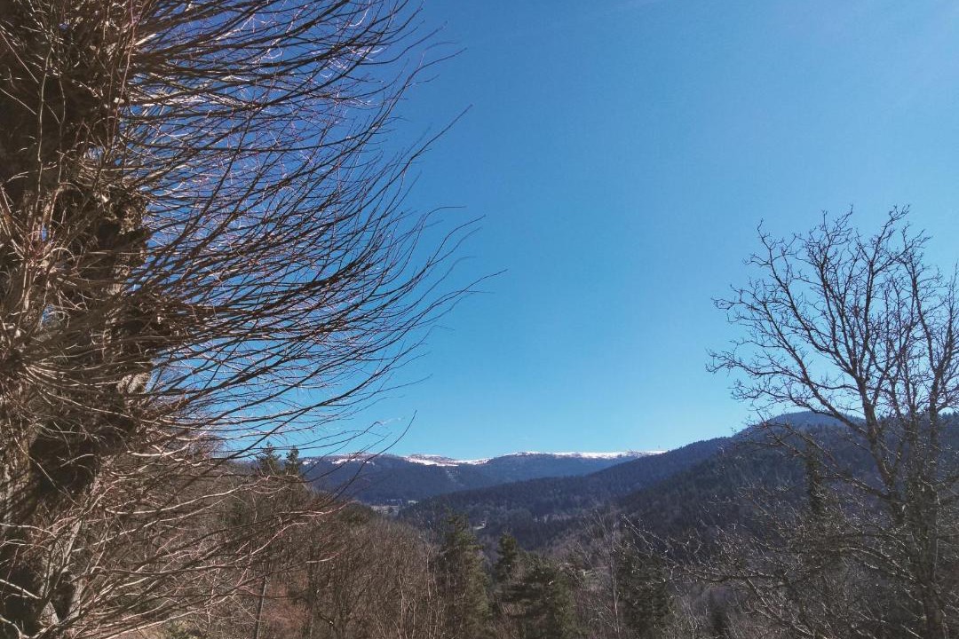 Photo of Others in Marat