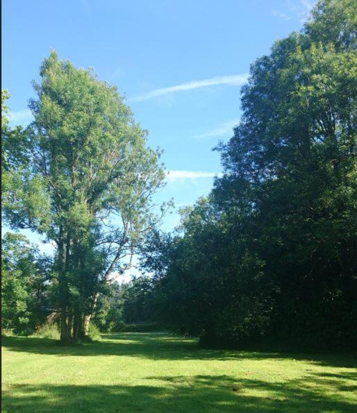 Photo of Others in Cerisy-la-Foret