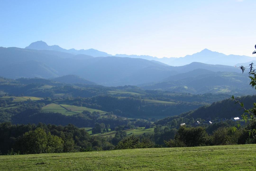 Photo of Others in Molere