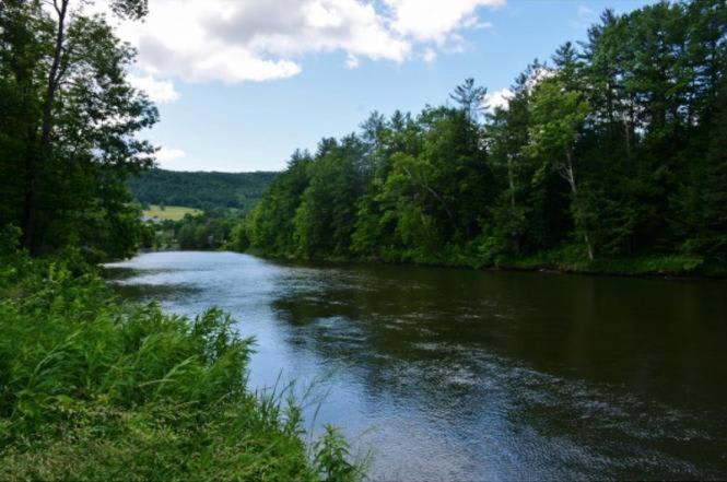 Photo of Others in Taftsville