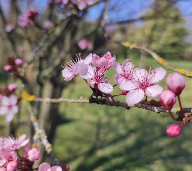Photo of Outdoor in Lesigny