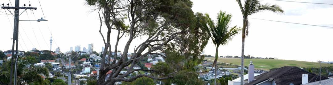 Photo of Others in Mission Bay