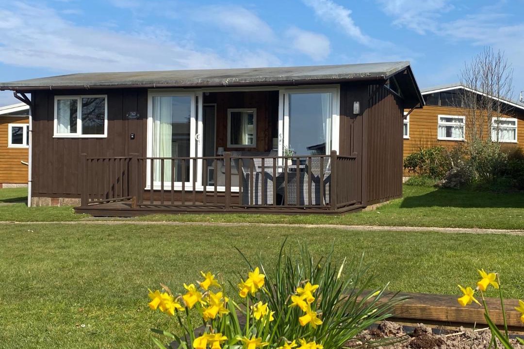 Photo of Others in Seaton