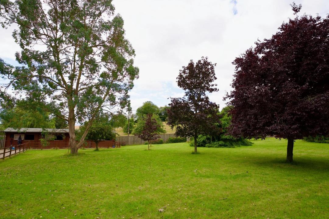 Photo of Others in Tring