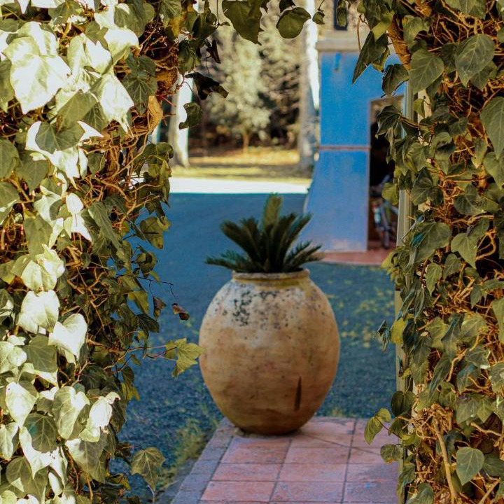 Photo of Others in Cap Esterel