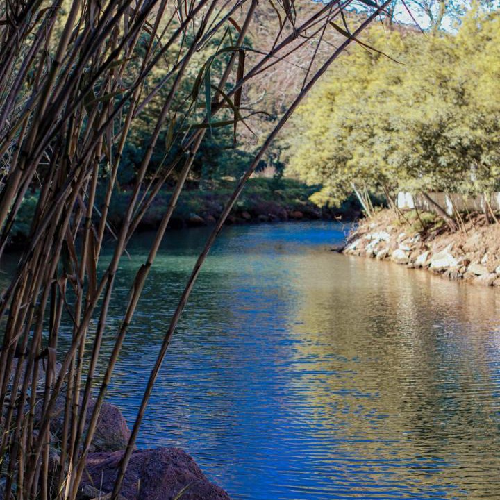 Photo of Others in Cap Esterel