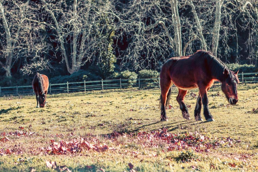 Photo of Others in Cap Esterel
