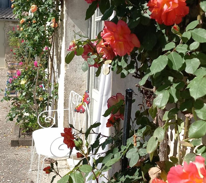 Photo of Others in Prechac