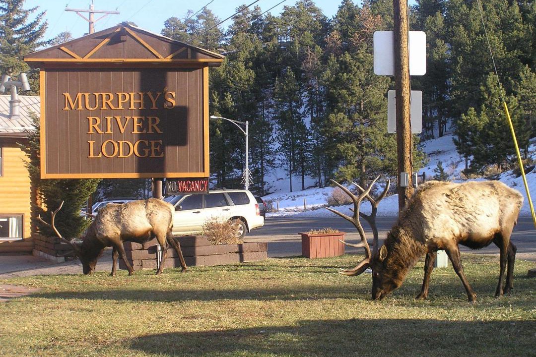 Photo of Others in Estes Park