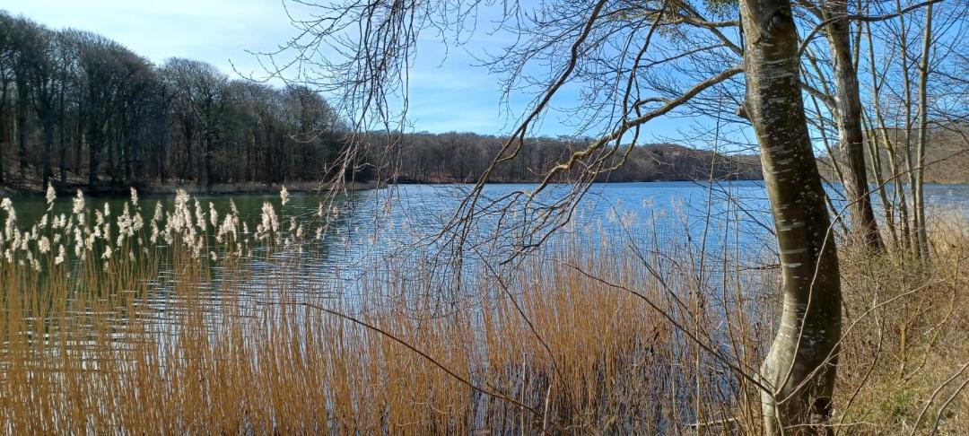 Photo of Others in Horsens