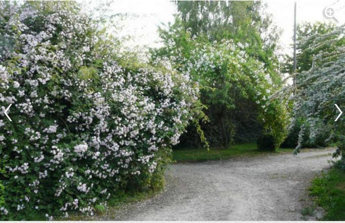 Photo of Outdoor in Blacqueville